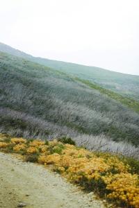 15 Image 15