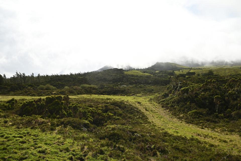 4 Image 4