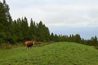 3 Image 3