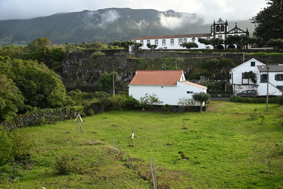 5 Image 5
