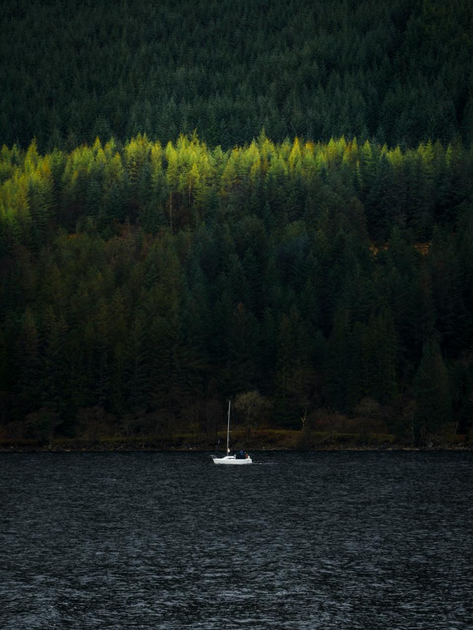 5 Image 5