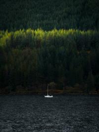 5 Image 5