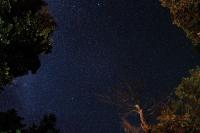 6 Image 6