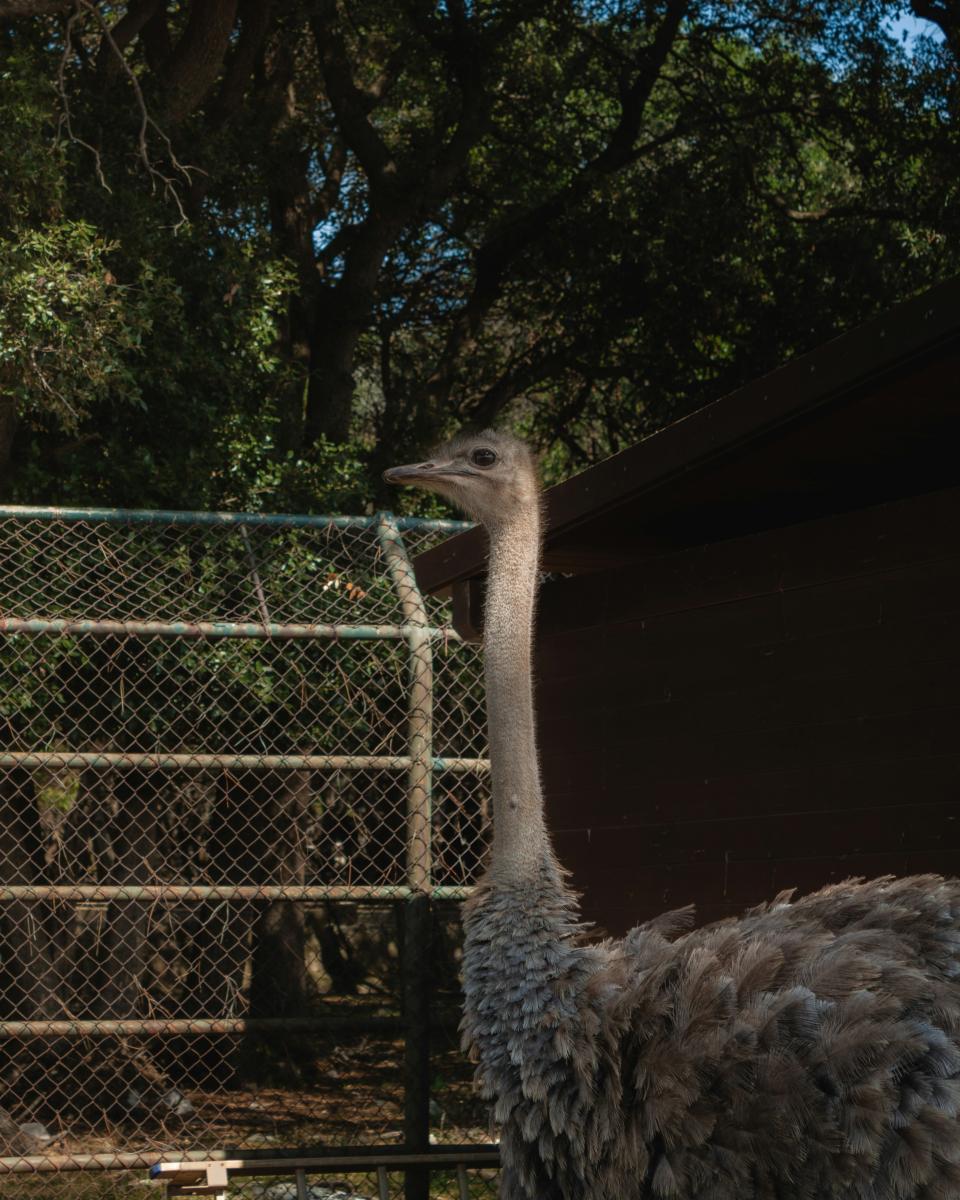 11 Image 11