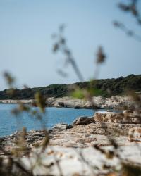 12 Image 12