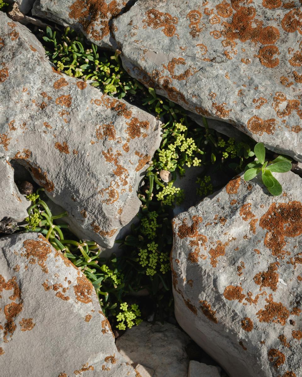 9 Image 9