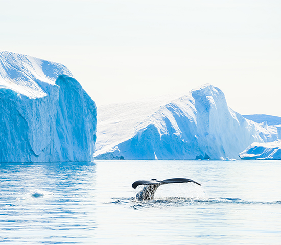 Greenland