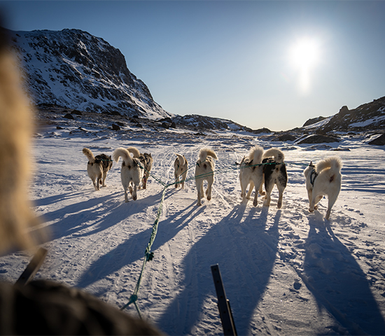 Greenland