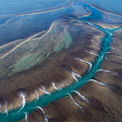 Montgomery Reef