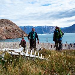 Guided Hikes