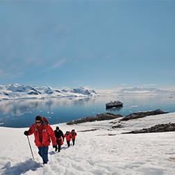 Guided Hikes and Walks