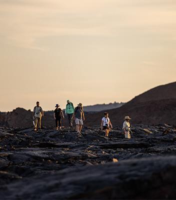 Guided Hikes and Walks
