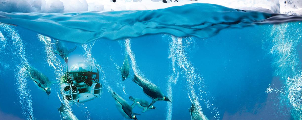 Submersible Dives