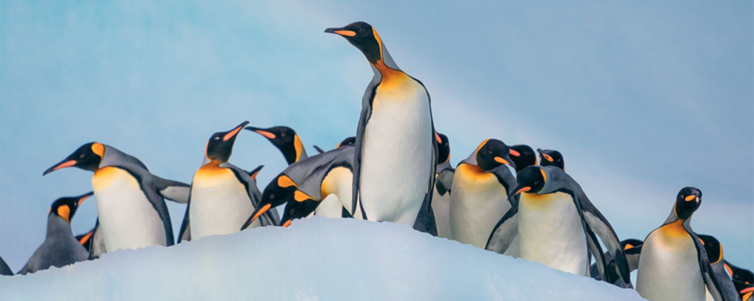 Antarctica
