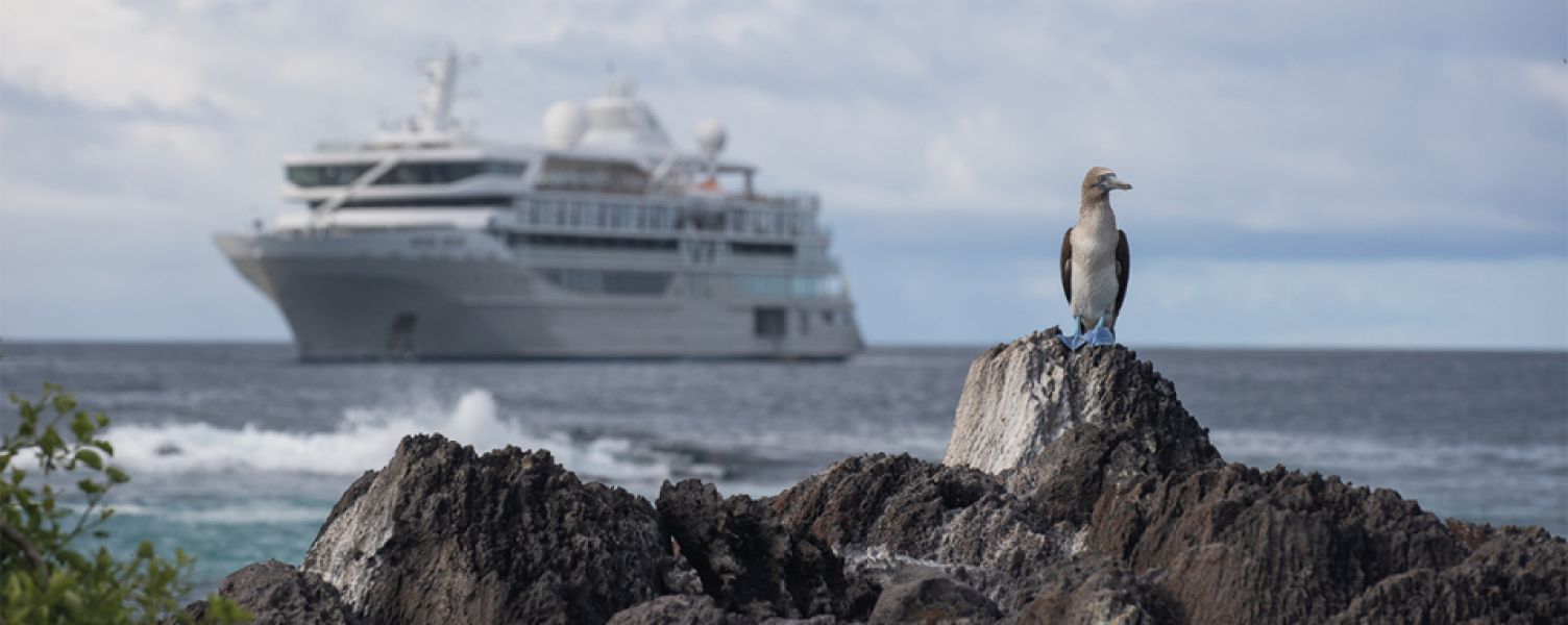Galápagos
