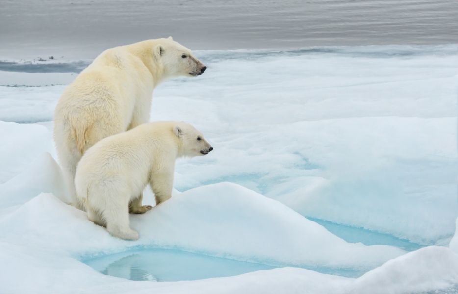 Svalbard