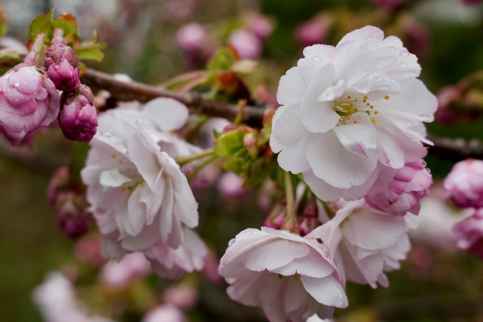 10 Image 10