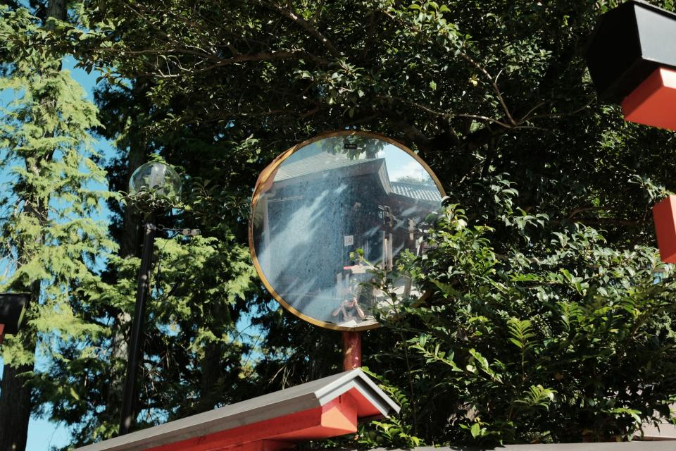 7 Image 7