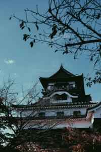 34 Image 34