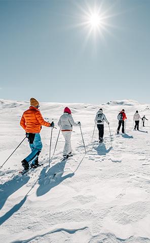Snowshoeing