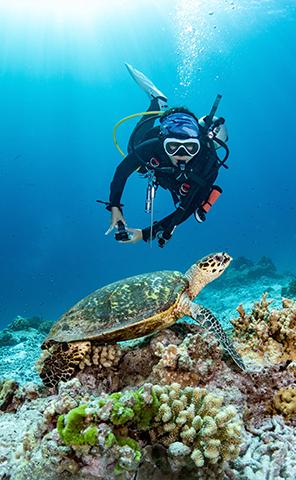 Scuba Diving