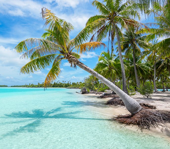 French Polynesia & South Pacific